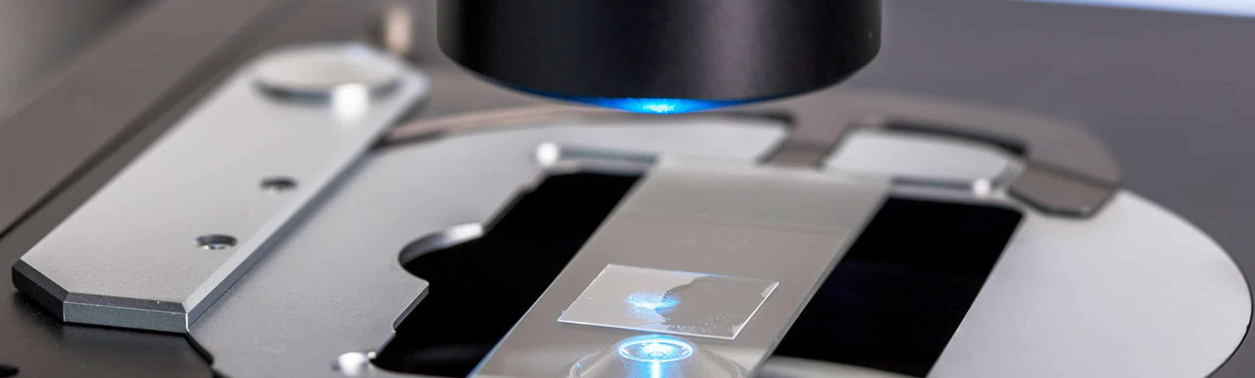 gm-1-ganglioside-trb-chemedica-banner-2552x771-1